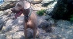 Nature Calls