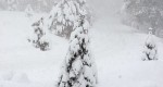 Yeah! A Snow Day