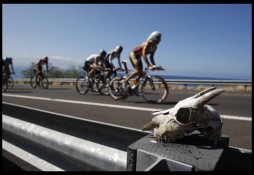 During the bike portion of the 2009 Ford World Ironmanchampionships last October, cyclists were greeted by the stare of a goat skull ironically mounted on the post of a guardrail just south of Hawi.