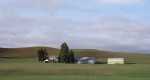 Rolling through the Palouse to a wedding