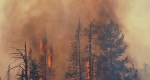 Fire_128375_23