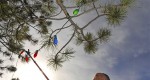 Hanging the Christmas Lights