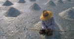 Salt Farm